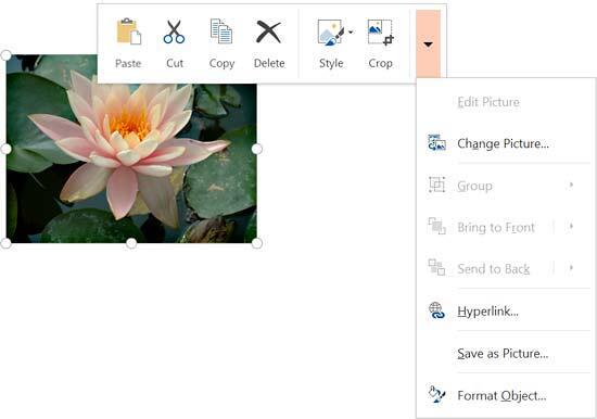 More picture formatting options