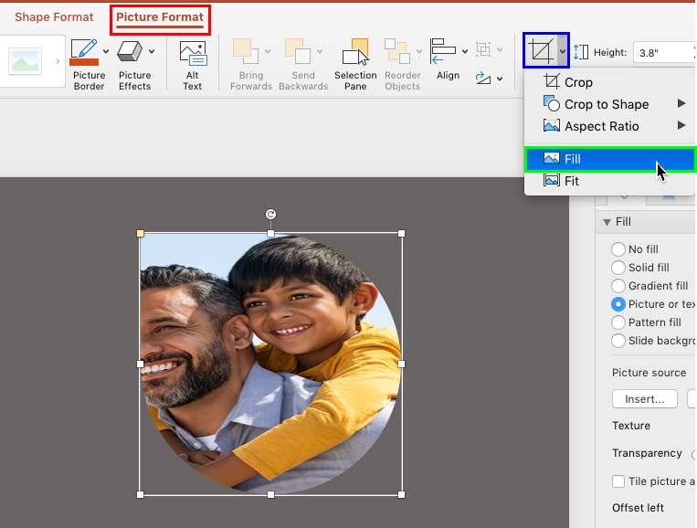 Choose the Crop to Fill option in PowerPoint 365 for Mac