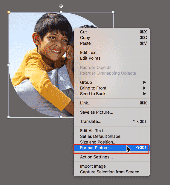 Format Picture option in the contextual menu in PowerPoint 365 for Mac