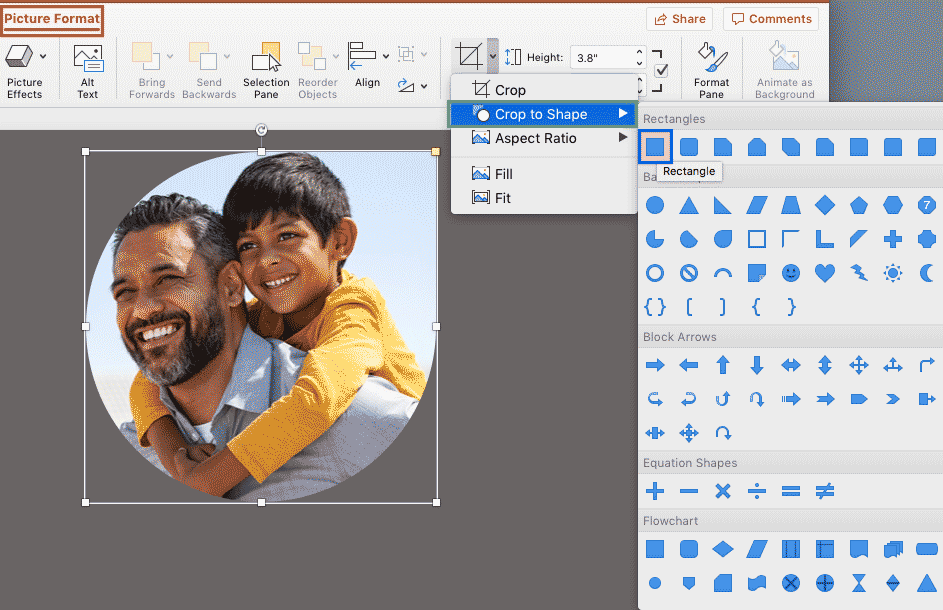 Choose the Crop to Shape option in PowerPoint 365 for Mac