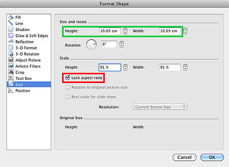 Size values changed within the Format Shape dialog box