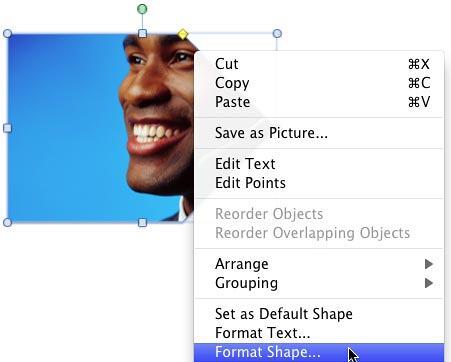 Format Shape option