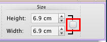 The Height and Width values within Size group The Height and Width values within Size group