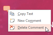 Delete Comment option Delete Comment option