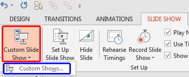 Custom Shows option Custom Shows option