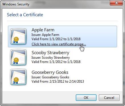 List of certificates within the Windows Security window