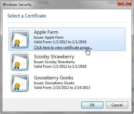 List of certificates within the Windows Security window List of certificates within the Windows Security window