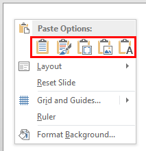 Paste Options for the copied Excel content