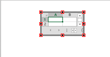 Excel Spreadsheet on the slide