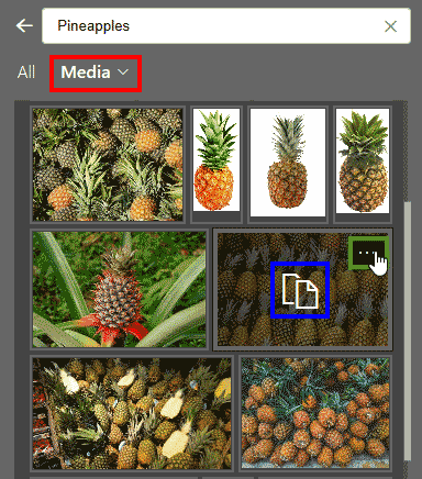 Media search in PowerPoint 365 Media search in PowerPoint 365