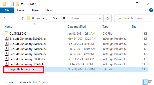 New dictionary file accessed within Windows Explorer