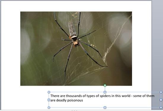 Text box resized, but not aligned with the picture - Indezine Text box resized, but not aligned with the picture