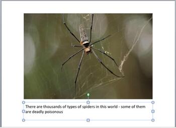 Learn PowerPoint 2011 for Mac: Resize Text Boxes Accurately