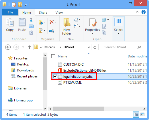 New dictionary file accessed within the windows explorer