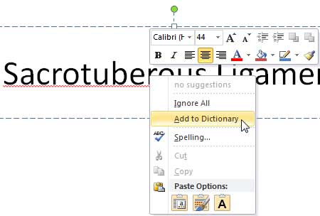 Add to Dictionary option selected