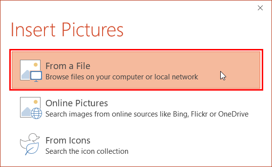 From a File option within the Insert Pictures dialog box