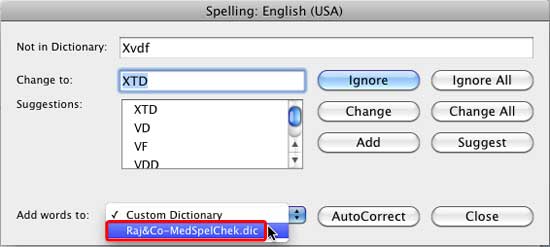 New dictionary within Spelling dialog box