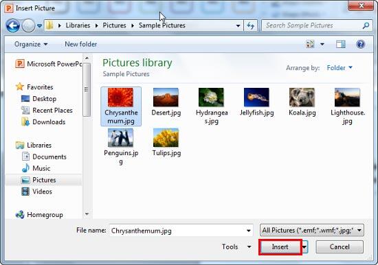 Insert Picture dialog box