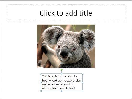 The picture in this slide is much wider than the text box underneath - Indezine The picture in this slide is much wider than the text box underneath