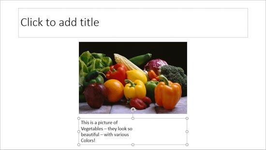 Text Box resized - Indezine Text Box resized