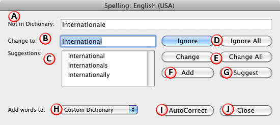 Options within the Spelling dialog box