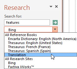 Translation option - Indezine Translation option