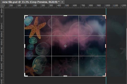From Widescreen to Standard! From Widescreen to Standard!