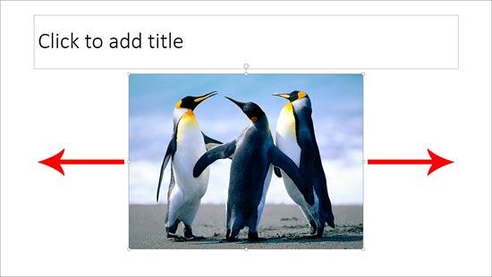 Picture inserted within content placeholder Picture inserted within content placeholder