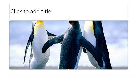 Picture placeholder filled with picture Picture placeholder filled with picture