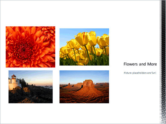 New Picture Slide Layout added with pictures