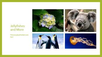 Learn PowerPoint 2013 for Windows: Working With Picture Slide Layouts