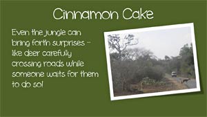 Cinnamon Cake