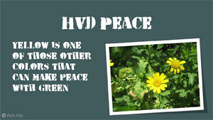 HVD Peace