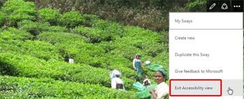 Accessibility View in Microsoft Sway