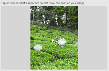 Focus Point for Pictures within Microsoft Sway