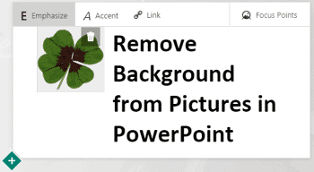 Title Cards in Microsoft Sway