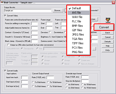 Convert the video file format