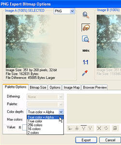 PNG Export Bitmap Options PNG Export Bitmap Options