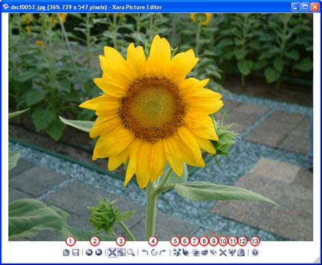 The Xara Picture Editor interface